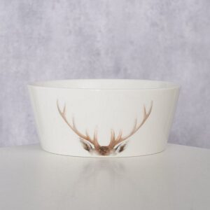 christmas bowl aspen