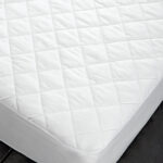 ekavi, prostateytiko, vesta home